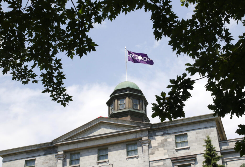 The image shows the Hiawatha belt flag, representing the Haudenosaunee (Iroquois Confederacy), flying atop a historic building with a neoclassical design. The building features a prominent central cupola with a green, patinaed dome. The flag is a deep purple with a series of white geometric symbols representing the original five nations of the Confederacy, connected by a central tree symbol. The flagpole is situated in the center of the cupola, and the image is framed by overhanging tree branches and leaves, which add a natural border to the scene. The sky is partly cloudy, giving the image a bright and serene atmosphere.