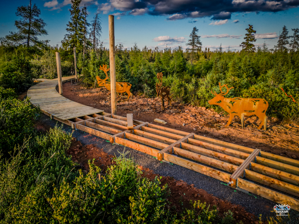  A boardwalk under construction, surrounded by lush green foliage and several metal caribou sculptures. The winding path is supported by wooden beams, and the evening sunlight casts long shadows on the ground, illuminating the scene with a warm glow.