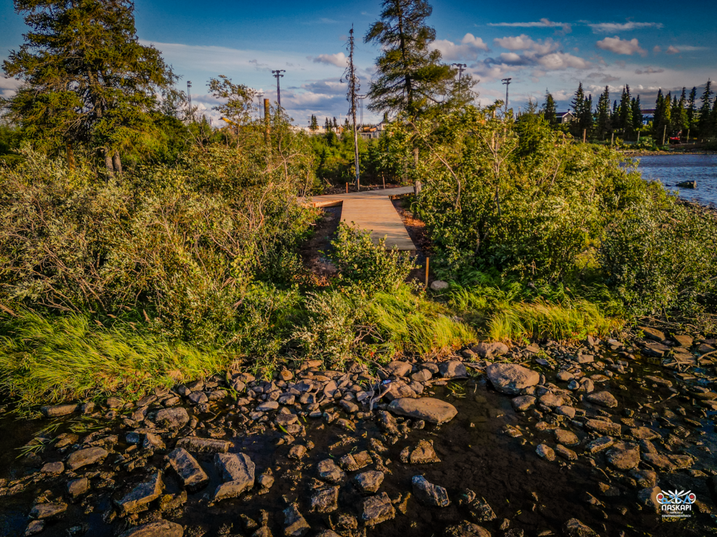 The boardwalk extends into the greenery, surrounded by dense bushes and tall trees. The rocky shore of a river can be seen in the foreground, with the sunlight highlighting the texture of the stones.