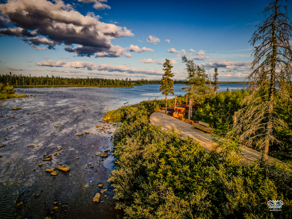 A wooden boardwalk curves along the shoreline, with lush greenery on both sides. The view opens up to a vast river, with tall pine trees in the background and a clear blue sky overhead, dotted with clouds.