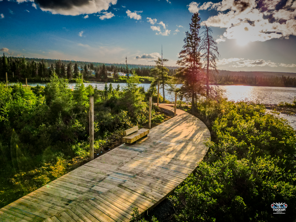 The late afternoon sun shines on the curving wooden boardwalk that overlooks the river. Tall, thin trees line the path, and a bench is positioned on the boardwalk, providing a peaceful place to enjoy the scenic view.